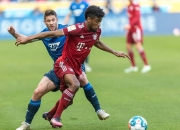 开云体育app-霍芬海姆球员积极备战，以最佳状态迎接强敌的简单介绍