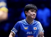 开云体育中国官网-关于波兰乒乓球队碾压英国乒乓球队，张本智和高光表现的信息