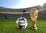 开云体育官方网站-2026世界杯焦点战，星月军团闪耀北美，土耳其力擒里昂雄狮破纪录