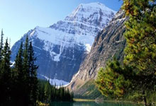 开云体育中国官网-塞尔维亚男篮翻盘独行侠，加里纳利绝境逆转