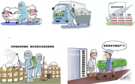 选手健康风险公开，世锦赛是否受到干扰备受猜测的简单介绍