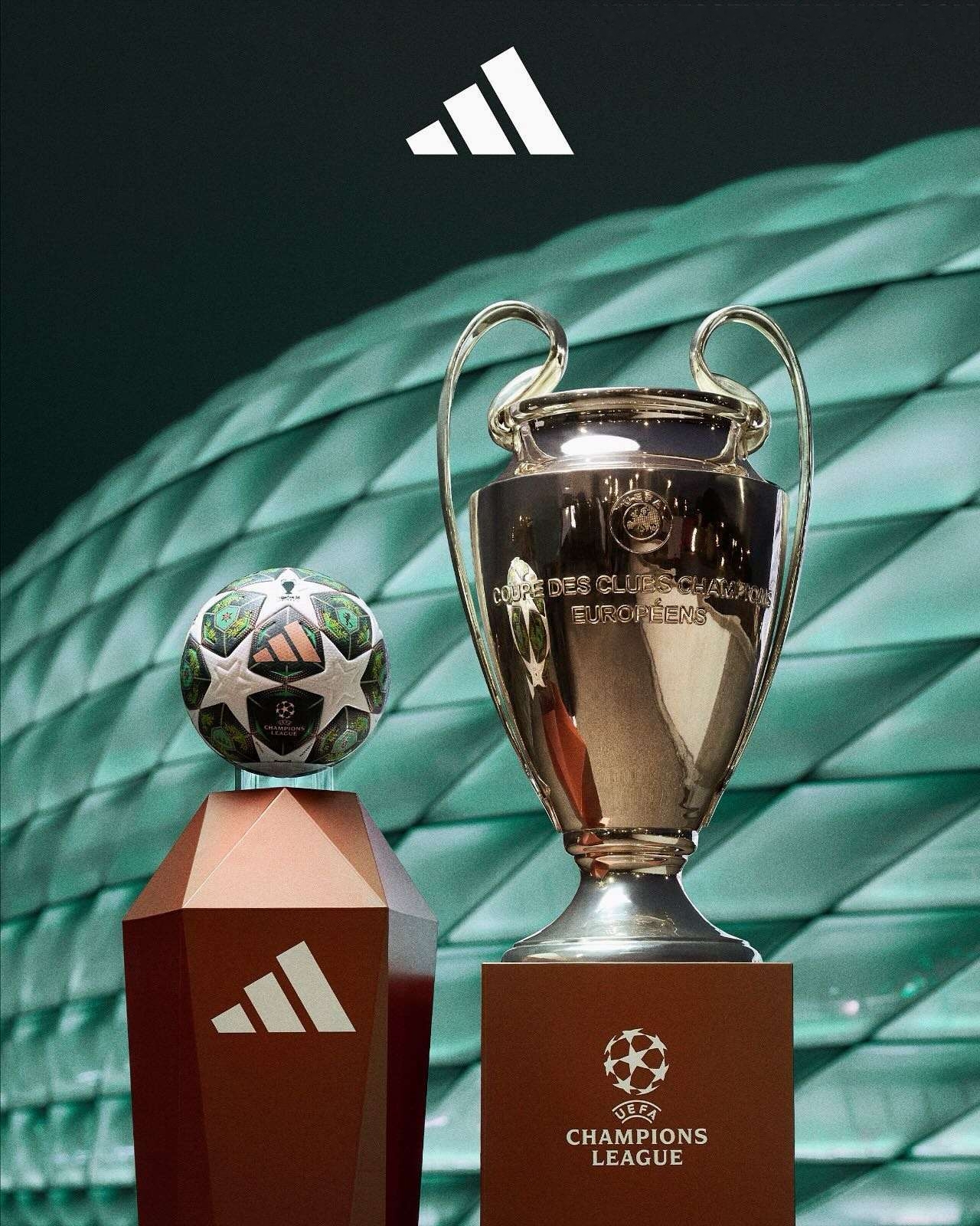 关于欧洲运动员再度登顶，创造更多佳绩的信息