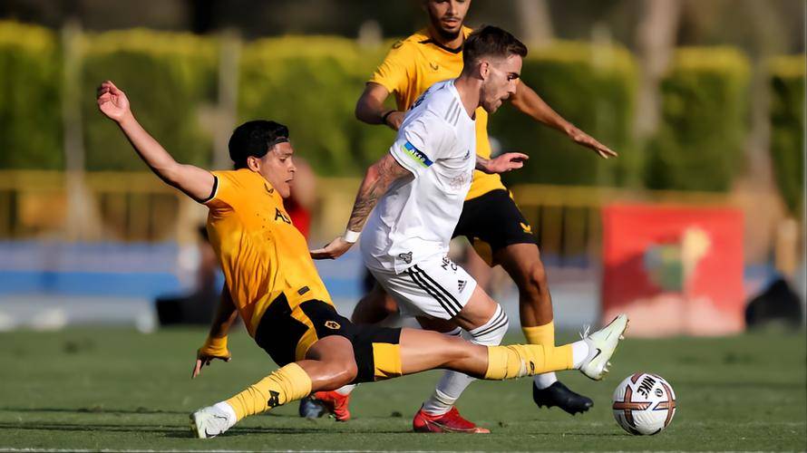 尼斯主场对阵洛里昂，力争主场保持不败的简单介绍