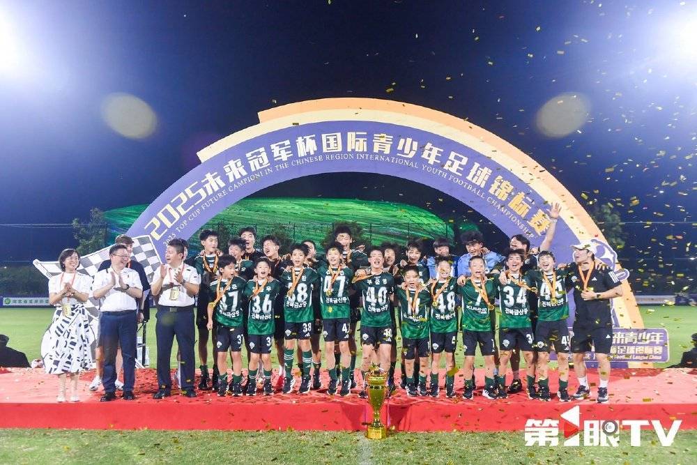 关于中国足球勇夺国际赛冠军，成就传奇历史的信息